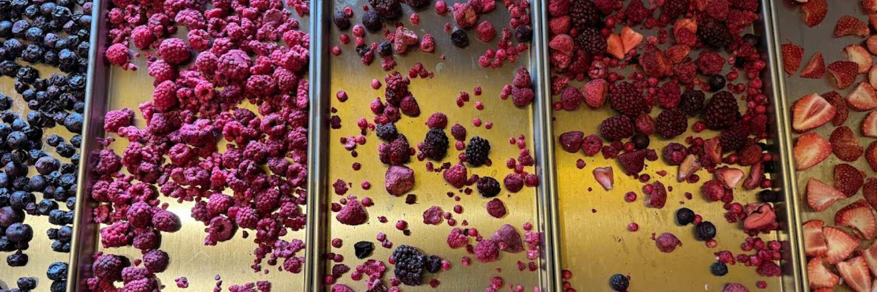 gefriergetrocknete Kräuter, Obst, Beeren
