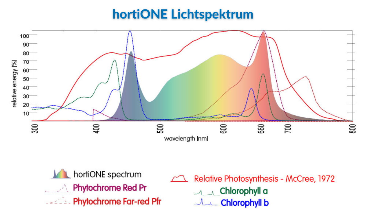 Lichtspektrum hortione 600