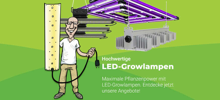 LED Grow Lampe
