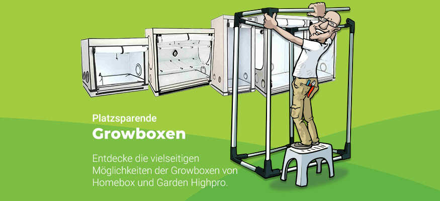 Grow Box kaufen
