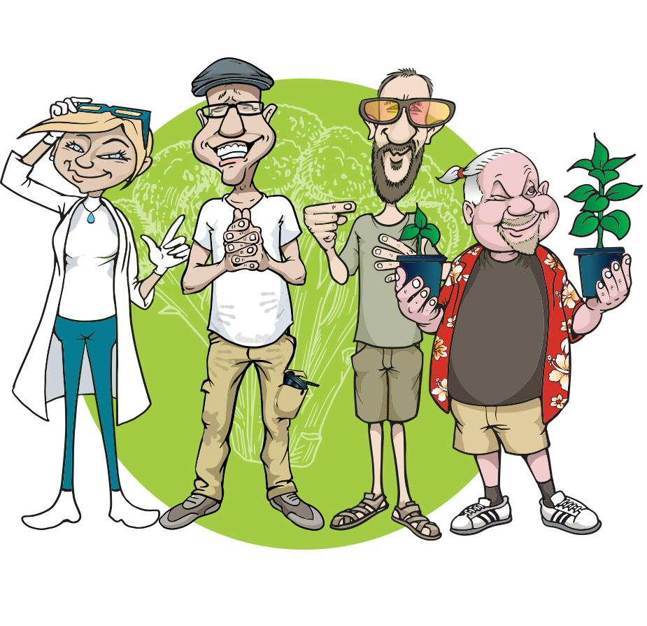 Affiliate-Programm von Dirks Growshop