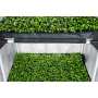 PROPAGATOR L | 60x40x200 cm | Anzuchtbox | Garden Highpro