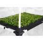 PROPAGATOR L | 60x40x200 cm | Anzuchtbox | Garden Highpro