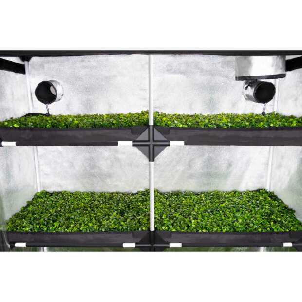 PROPAGATOR XL | 120x40x200 cm | Anzuchtbox | Garden Highpro