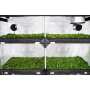 PROPAGATOR XL | 120x40x200 cm | Anzuchtbox | Garden Highpro