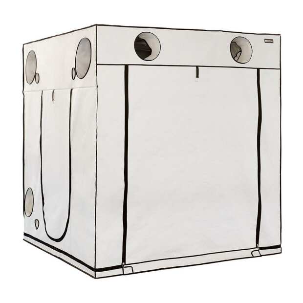 HOMEbox | Ambient Q200+ | Growbox | 200x200x220cm