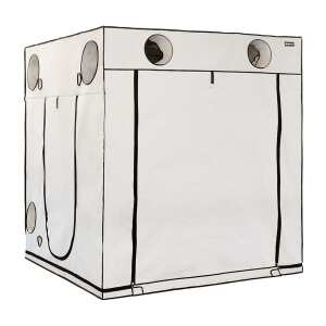 HOMEbox | Ambient Q200+ | Growbox | 200x200x220cm