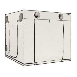 HOMEbox | Ambient Q240+ | Growbox | 240x240x220cm