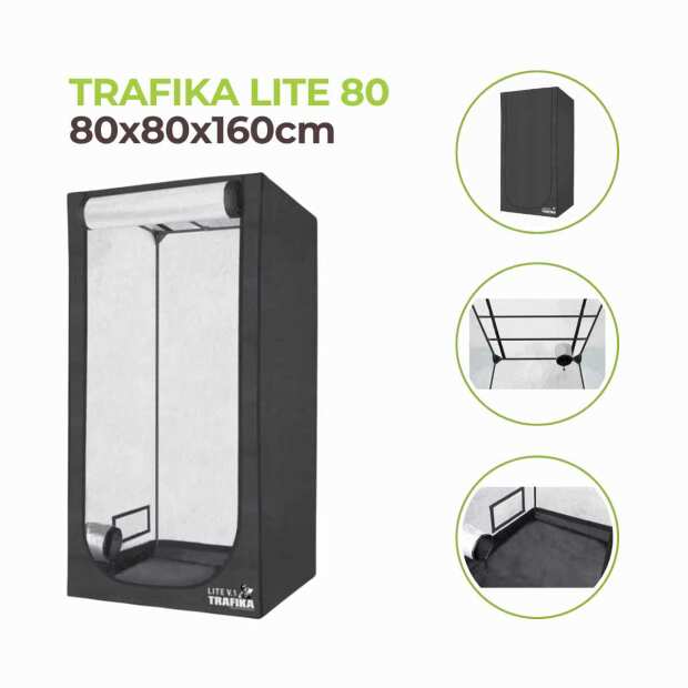 Growzelt 80x80x160cm | Trafika Lite 80