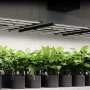 AC Infinity IONFRAME EVO6 | Samsung LM301H EVO LED Grow Light | 500W | bis 120 x 120 cm