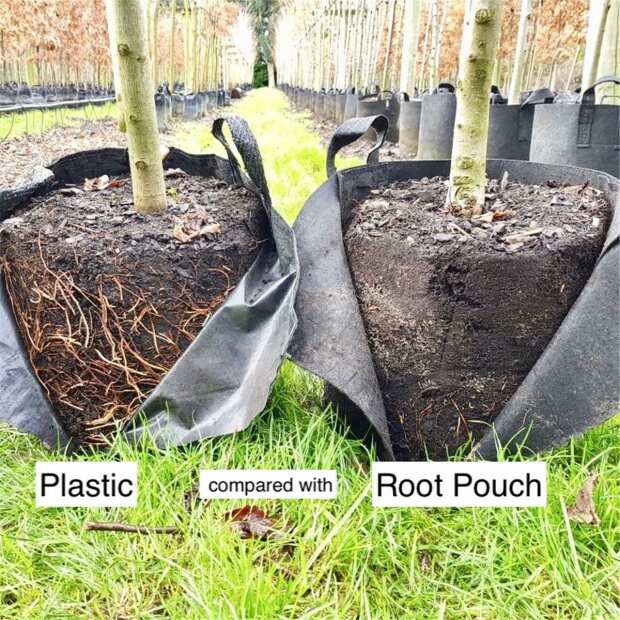 Pflanzsack | 78 Liter | schwarz | mit Griffen Root Pouch