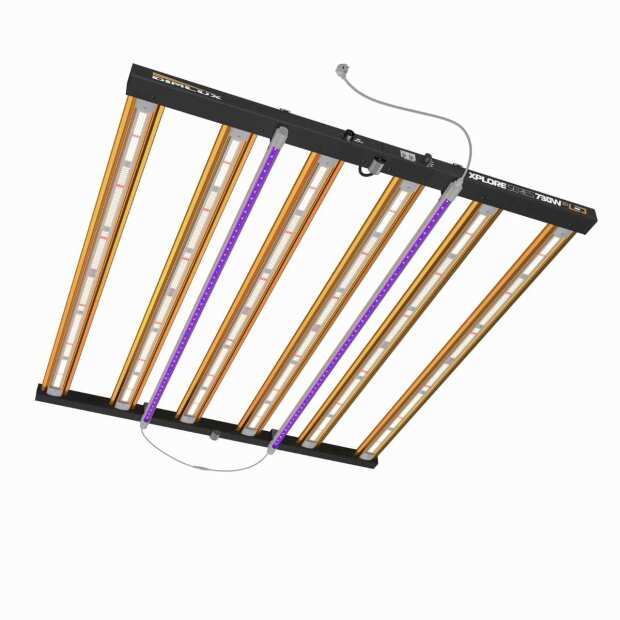 Dimlux Xplore 730 Watt 3.0 | LED Grow Lampe | 2197 µmol/s