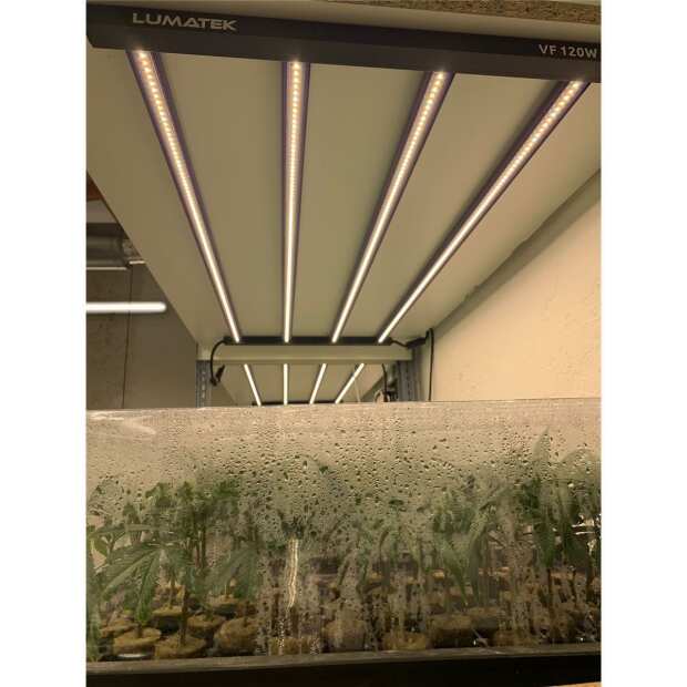 Lumatek | 120W Anzucht LED-Lampe | Sämlinge | Stecklinge | Vertical Farming | 120 Watt | 308 µmol/s