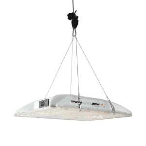 Dimlux Xplore 200 Watt CompactLine | LED Grow Lampe | 530...