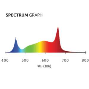 Lumatek | LED-Ergänzungslicht | 100 Watt | 295...
