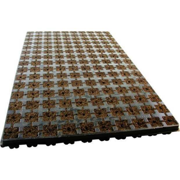Eazy Plug 150er Tray Anzuchtwürfel