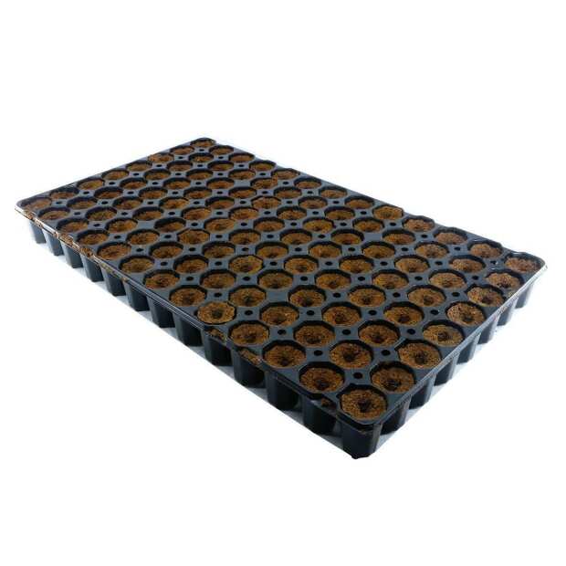 Eazy Plug rund 104C Tray Anzuchtwürfel
