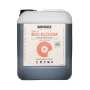 BioBizz | Bio Bloom | 5 Liter