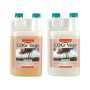 Canna | CoGr Vega A+B | 2x 1 Liter