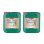 Canna | CoGr Flores A+B | 2x 5 Liter