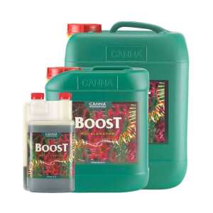Canna | Boost