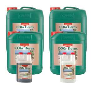 Canna | CoGr Flores A+B