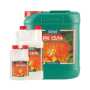 Canna | PK 13-14