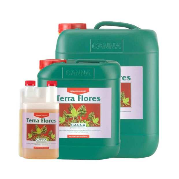 Canna | Terra Flores