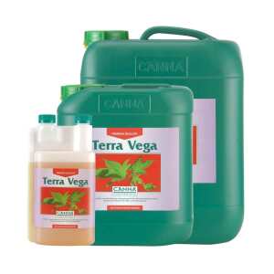 Canna | Terra Vega