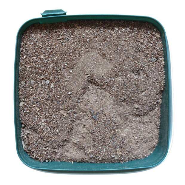 BioTabs | Silicium Flash