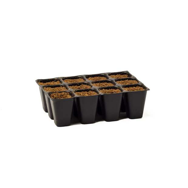 BioTabs | Seedplugs | Anzuchtwürfel für Samen | 12 Stück