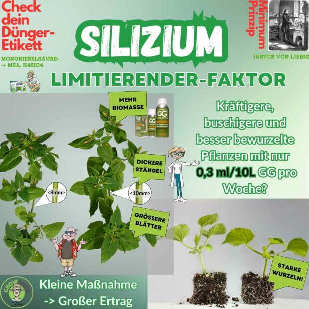 Grow Genius Silizium Dünger | Monokieselsäure (40%)
