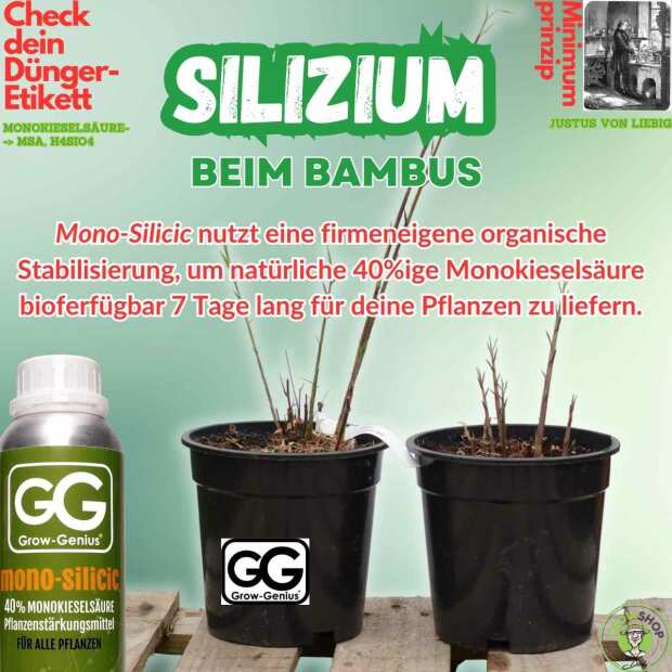 Grow Genius Silizium Dünger | Monokieselsäure (40%)