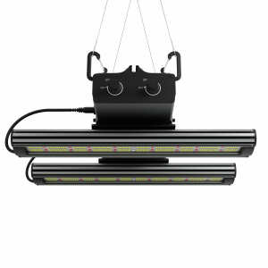 Greenception GCx-4 PWR: Revolutionäre 160W LED...