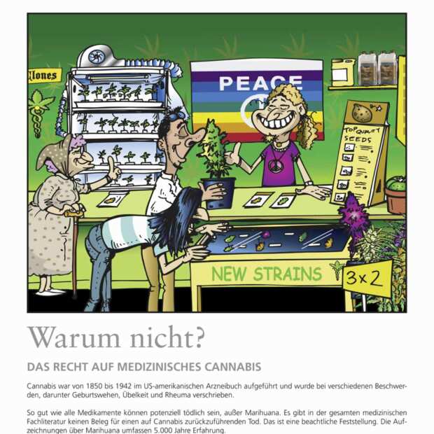 Buch | "Warum nicht?" | Von IVAN ARTS | Cartoons