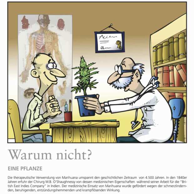 Buch | "Warum nicht?" | Von IVAN ARTS | Cartoons