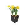 PROPOT 15L | Stofftopf mit Griffen | Pflanzsack | Garden Highpro