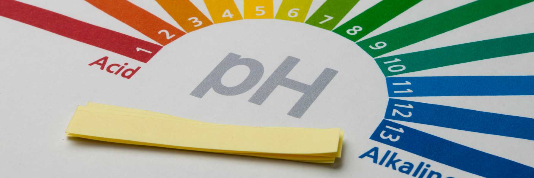 pH Messung in der Nährlösung