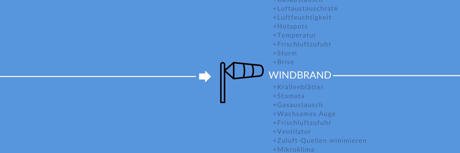 Eine Grafik von einem Windrohr