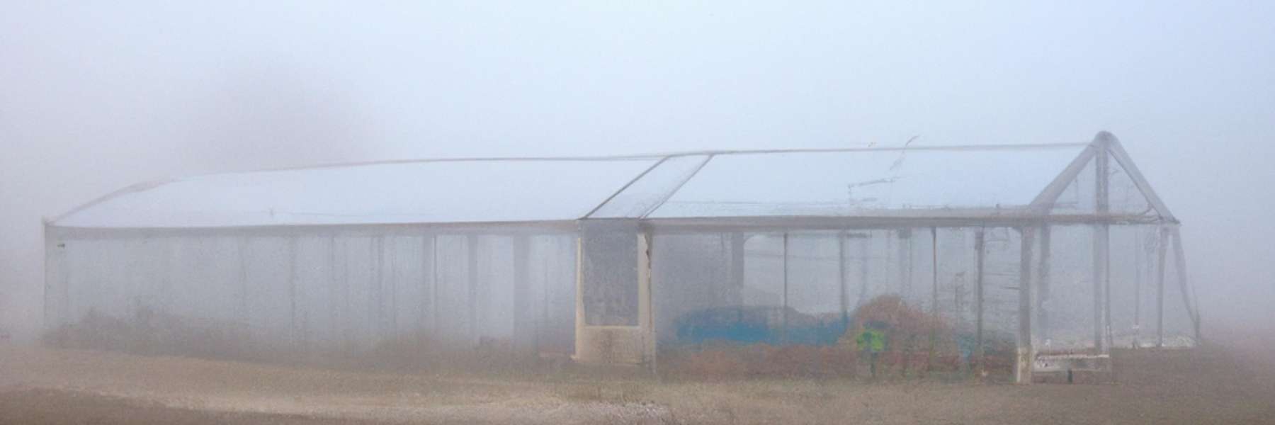 Gewächshaus im Nebel