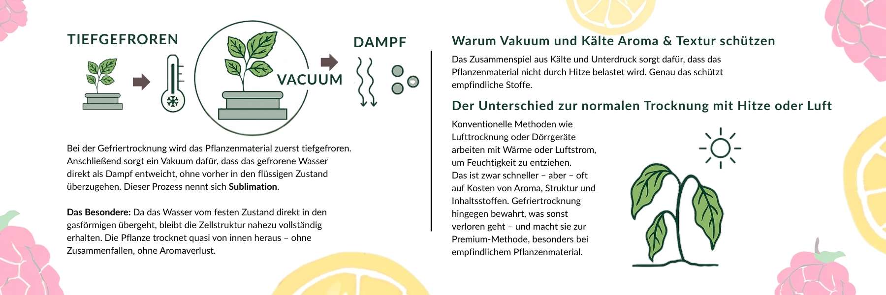 Infografik zum Gefriertrocknen 