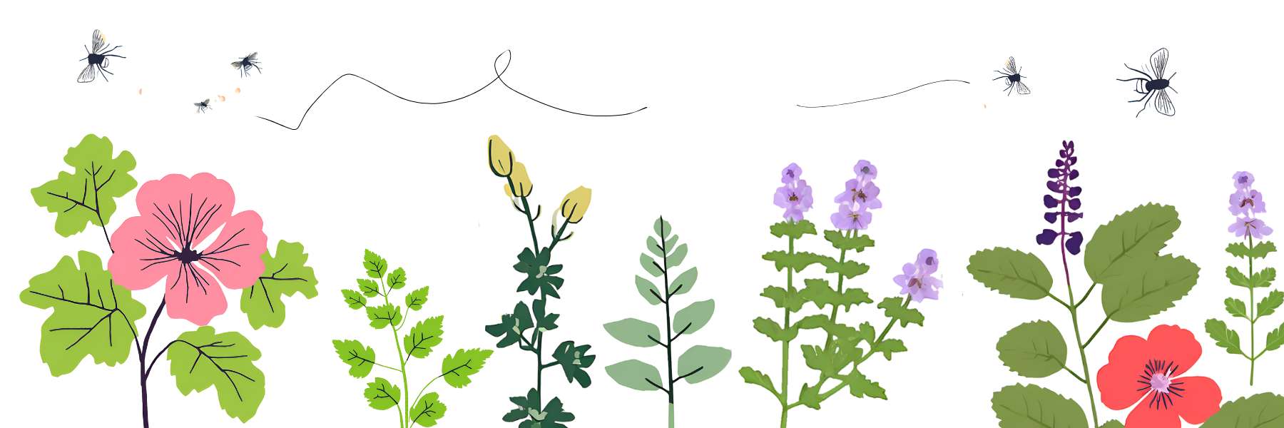 Grafik von Blumen und Mücken