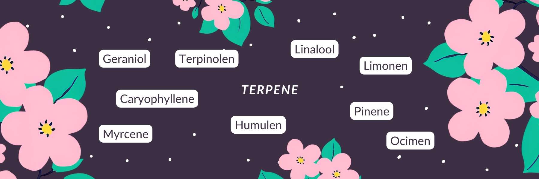 Grafik von Terpenen