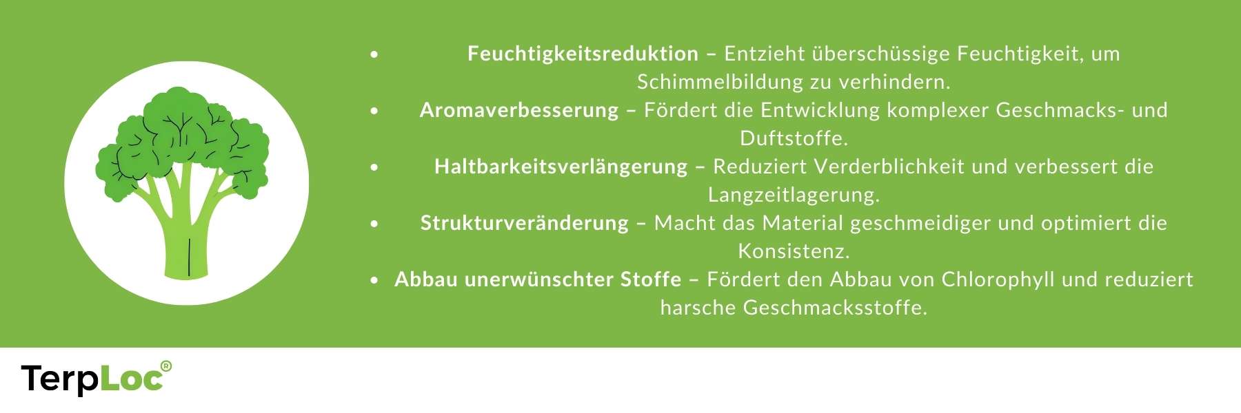 Eine Grafik mit den Vorteilen beim Aushärten mit Grove Bags