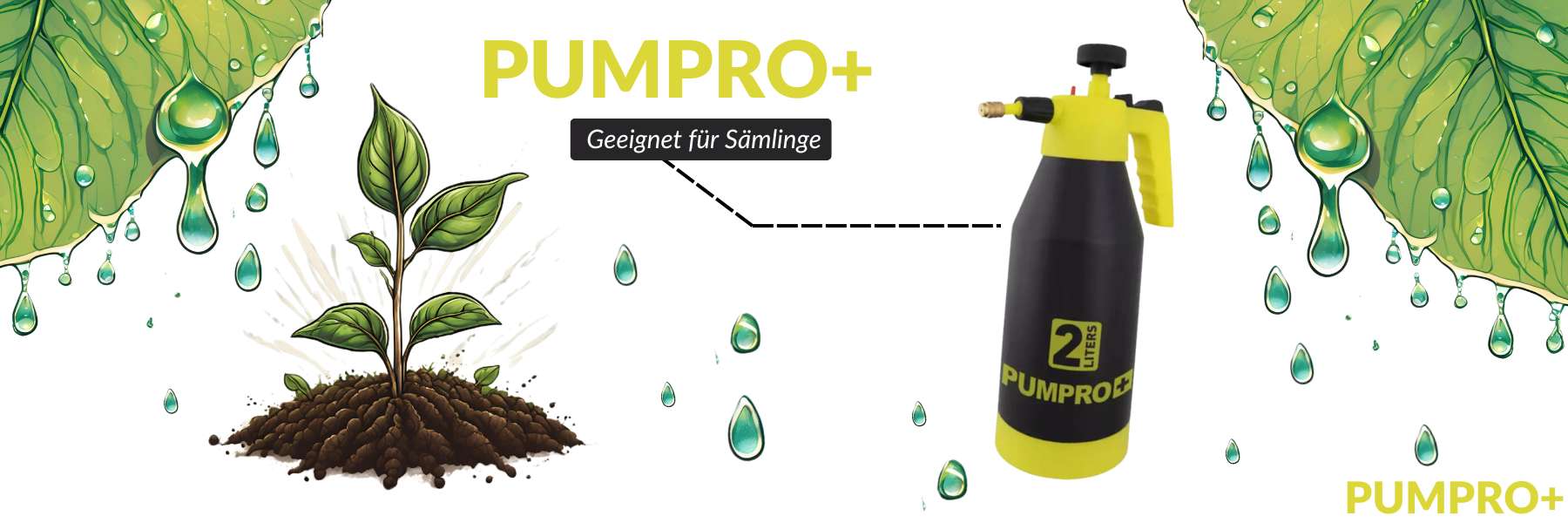 Pumpsprühflasche und kleine Pflanze