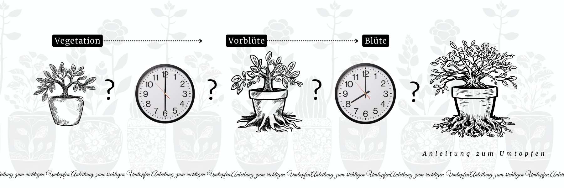 Eine Grafik von drei unterschiedlich stark durchwurzelten Blumentoepfen