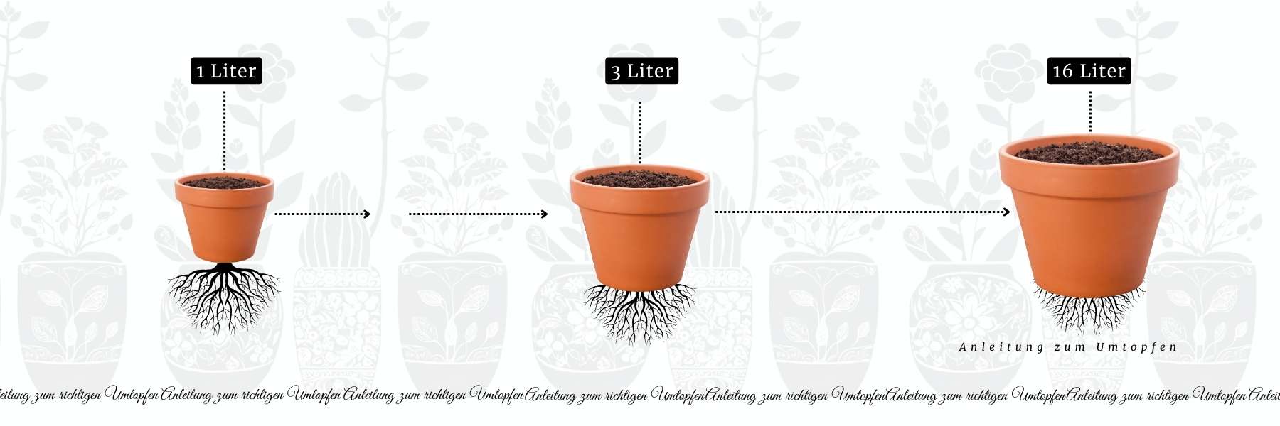 Grafik von drei unterschiedlich großen Blumentoepfen